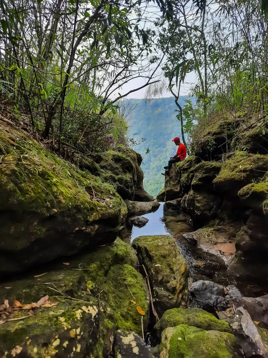 Breathe Freshness at Meghalaya’s Table Land